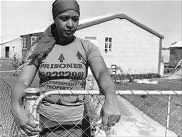 Work at Madikizela-Mandela’s Brandfort house commences | News Article