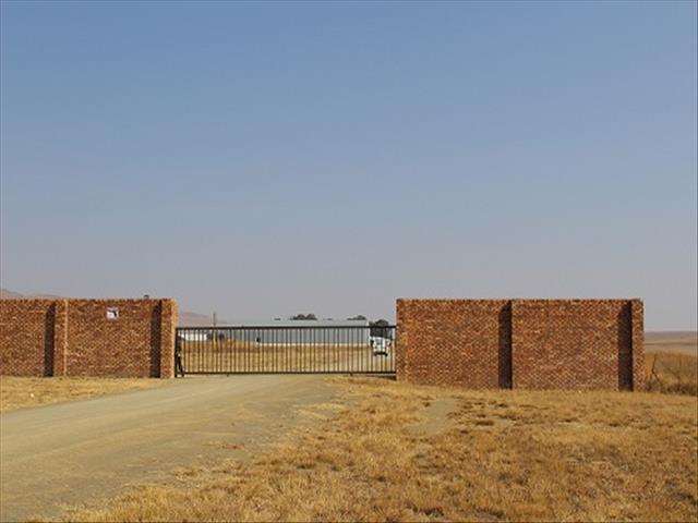 #Estina only had R16 when Free State deposited millions | News Article
