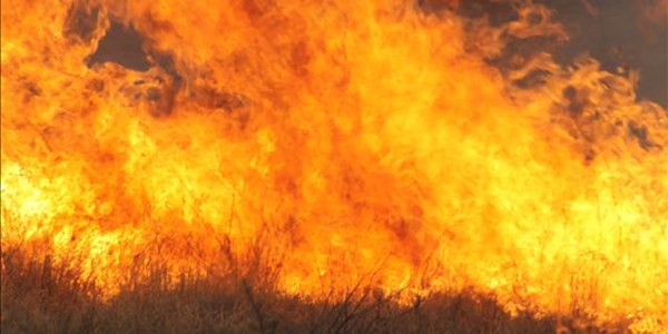 Windy season leads to FS veld fires Windy season leads to FS veld fires | News Article