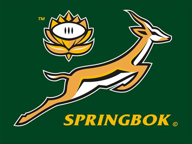 Springboks release 4 more players from Camp in Bloemfontein | OFM