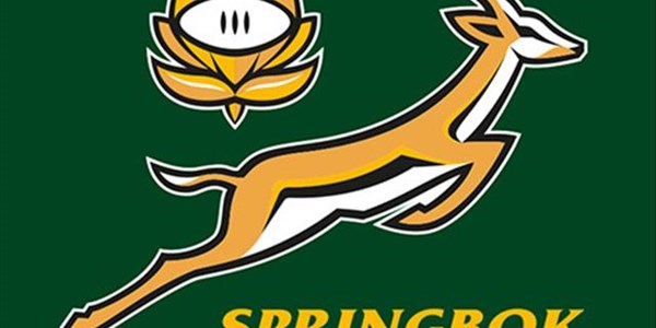 Springboks release 4 more players from Camp in Bloemfontein | News Article