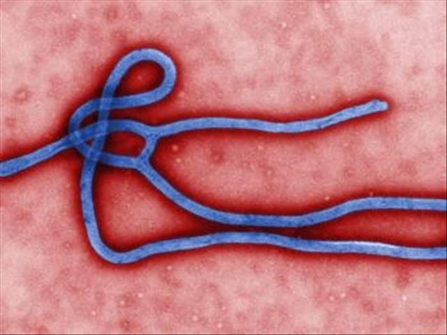 Fourth Ebola case detected in Congo | News Article