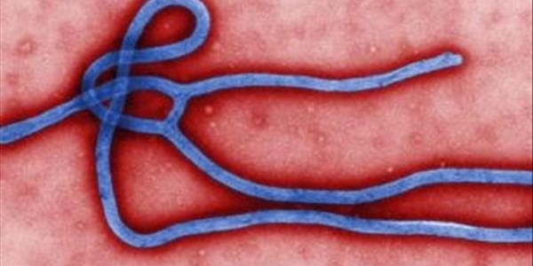 Fourth Ebola case detected in Congo | News Article