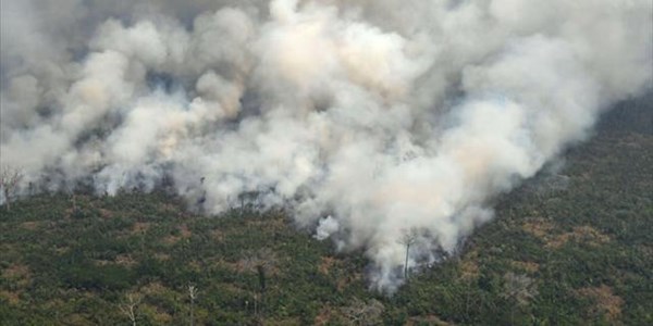 Hundreds of new fires in Brazil as outrage over Amazon grows | News Article