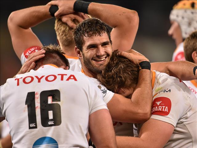 FS Cheetahs sweat over selections | News Article