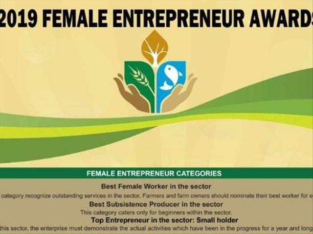 NC female entrepreneur turn disadvantage into victory | News Article