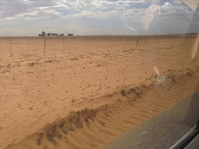 Landbounuus-podcast: Agri NK vra banke om droogtehulp | News Article