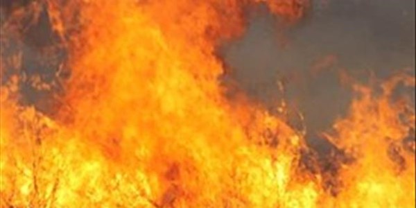 Department warns about runaway veld fires in drought-stricken NC | News Article