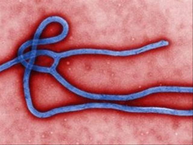 Ebola scare in DRC | News Article