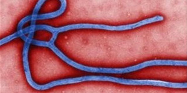 Ebola scare in DRC | News Article