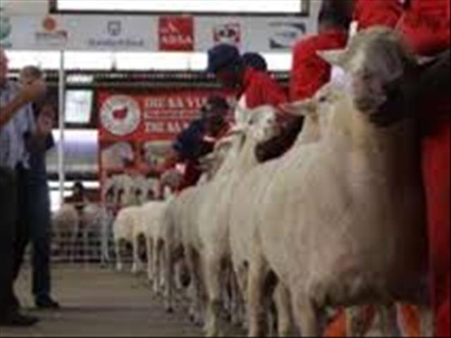 Agri News Podcast: Auction programme to 'transform' sector  | News Article