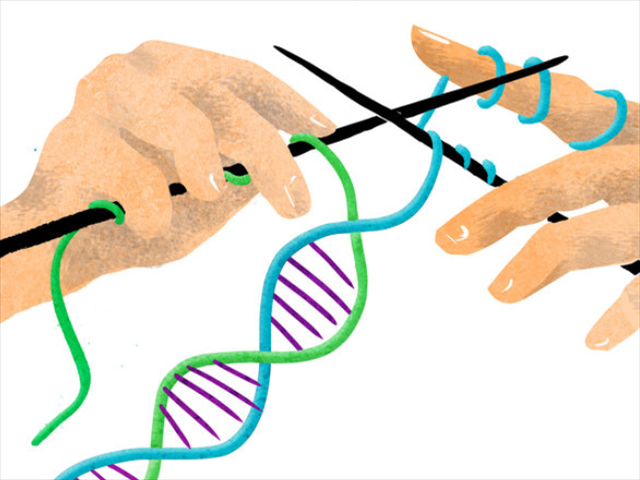 Just Plain Drive: Adriaan Pieterse from MaVie test Darren's DNA  | News Article