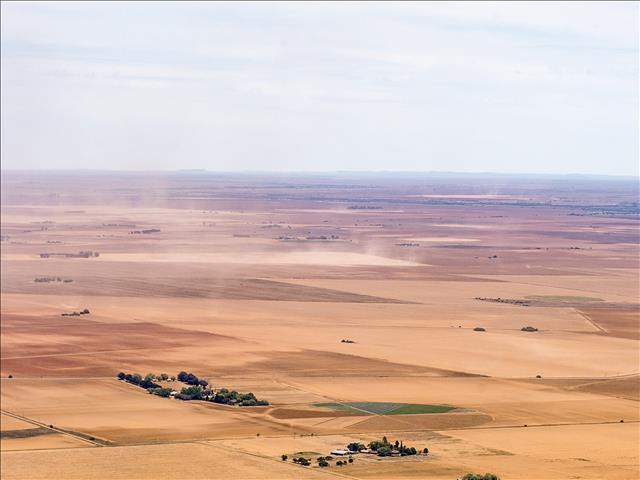 Landbounuus-podcast: Veevoerhulp vir boere in Noord-Kaap  | News Article