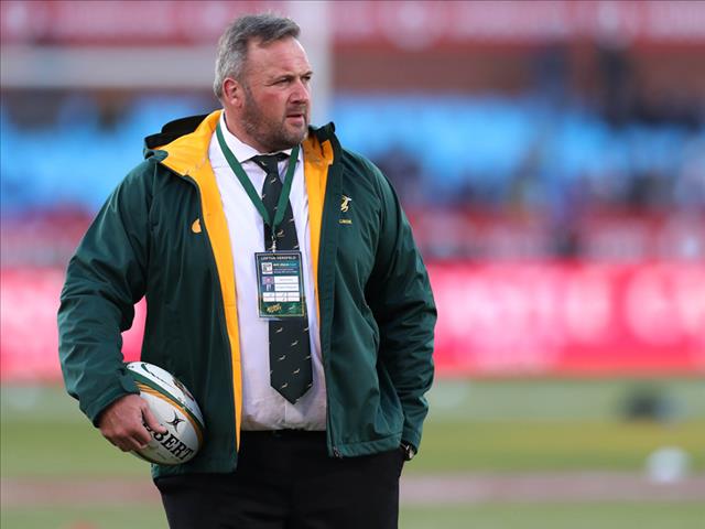 Springboks understand the difficulty of Argentina challenge  | News Article