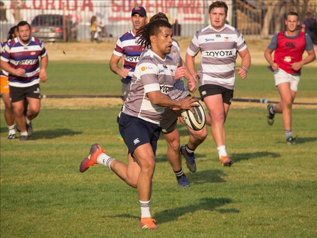 Free State Cheetahs motivated ahead of Sharks clash | News Article