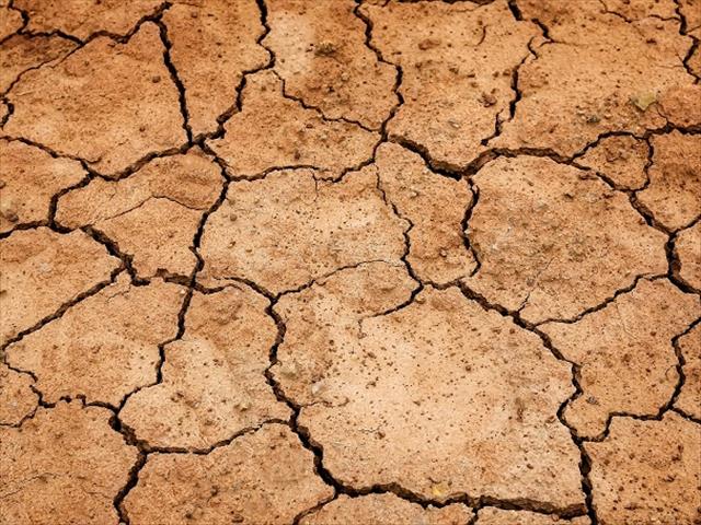 Gebiede in Namakwaland kry reën, maar meer is nodig | News Article