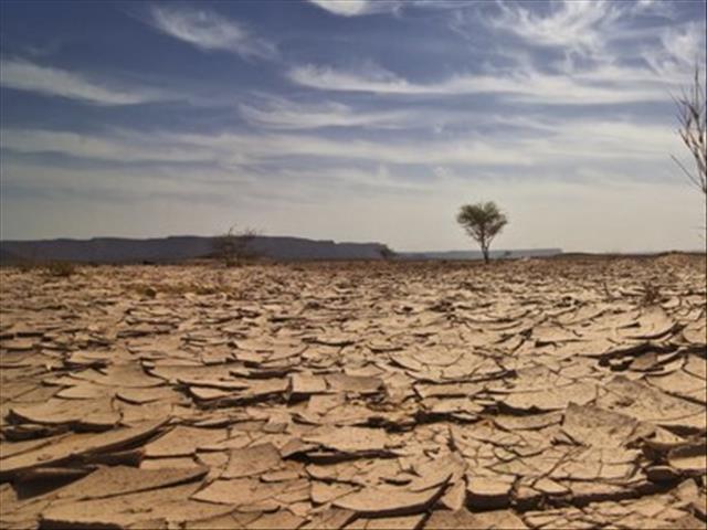 Veekuddes in Namakwaland drasties minder weens droogtetoestande | News Article