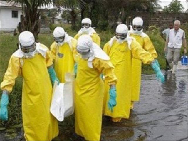 Three DRC doctors arrested for murder of WHO medic | News Article