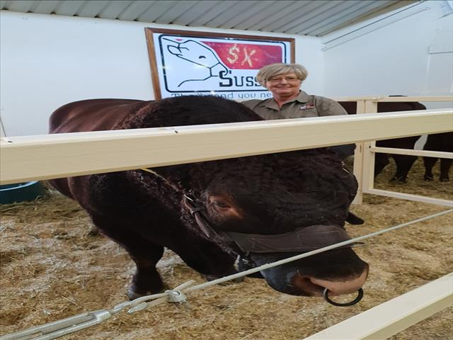 Sussex-beestelersgenootskap se eerste vroue president is passievol oor die bedryf | News Article