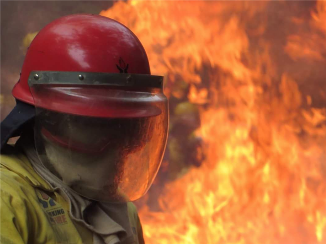 Fire at Botshabelo butchery not xenophobic-related - police   | News Article