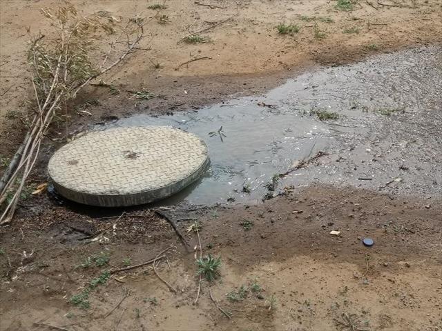 Overflowing sewage 'bad for business' | News Article