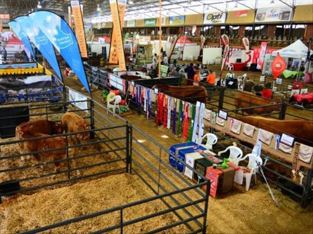 Alfa2019: Reuse-uitstalruimtes in plek vir vee-ekspo | News Article