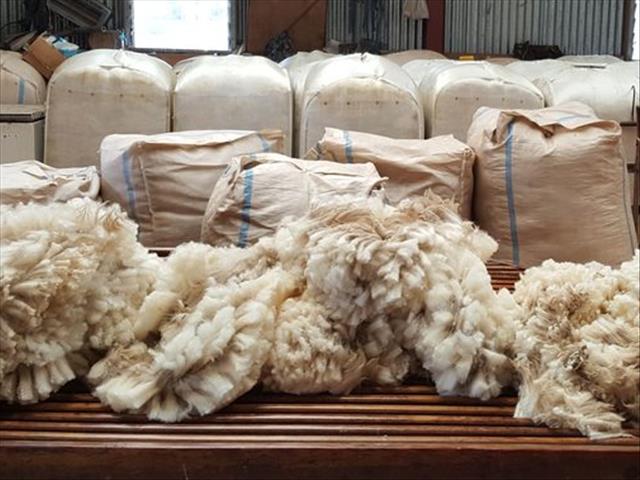 Wolkleur verswak in Nieu-Seeland | News Article