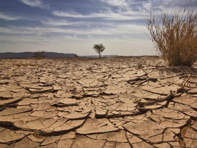 NK-regering steeds traag met droogteramphulp   | News Article