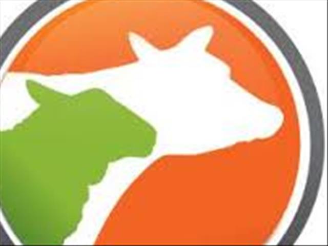 Graan SA (GSA) raak betrokke by die Alfa-vee-ekspo | News Article
