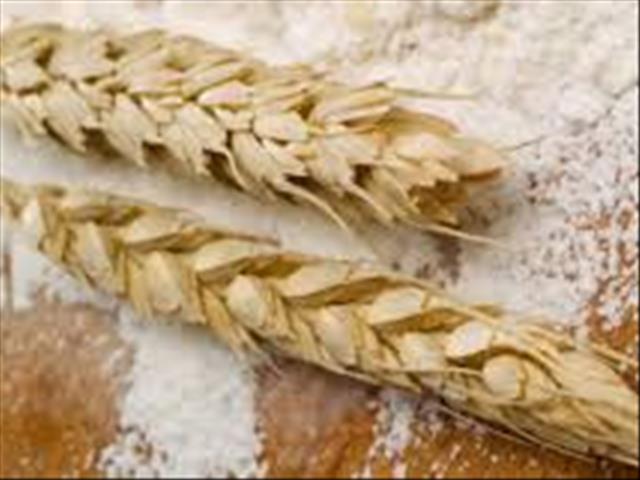 Senwes Grainlink: Hier is jou jongste Safex-pryse | News Article
