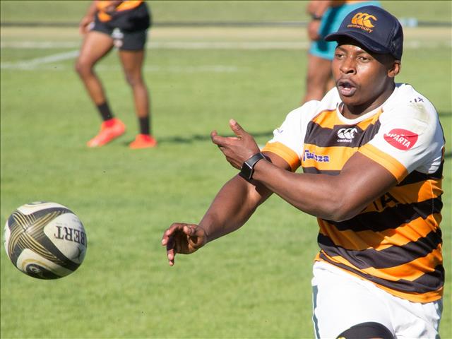 Player management a priority for the Cheetahs | News Article