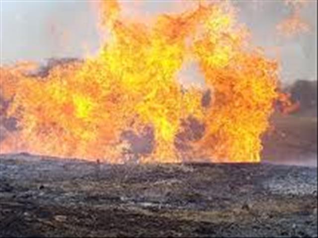 Kroonstad-boer vertel van sy nagmerrie-ervaring tydens veldbrand | News Article