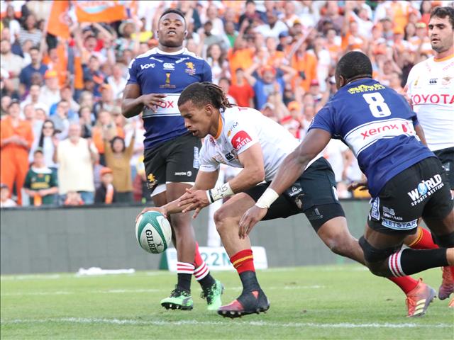 Cheetahs are the Currie Cup champions! | News Article