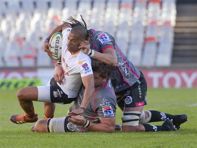 Blommetjies set for 100th Cheetahs game | News Article