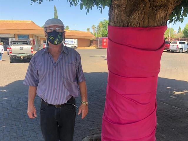 #PinkTreesForPauline maak mense van kanker bewus | News Article