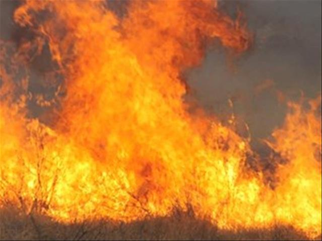 Brand veroorsaak chaos in NW | News Article