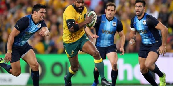The Boks will not play Rugby Champs in 2020 The Boks will not play Rugby Champs in 2020 | News Article