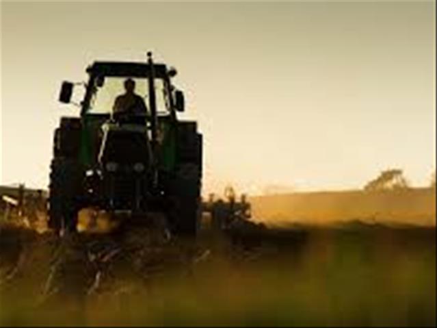  Werksgeleenthede kan in landbou geskep word - ekonoom | News Article