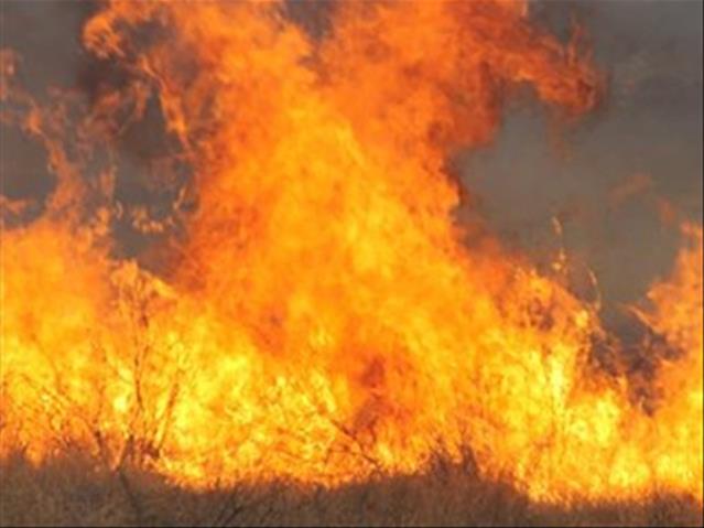 Moeilike tye vir boere ná NW-veldbrand | News Article