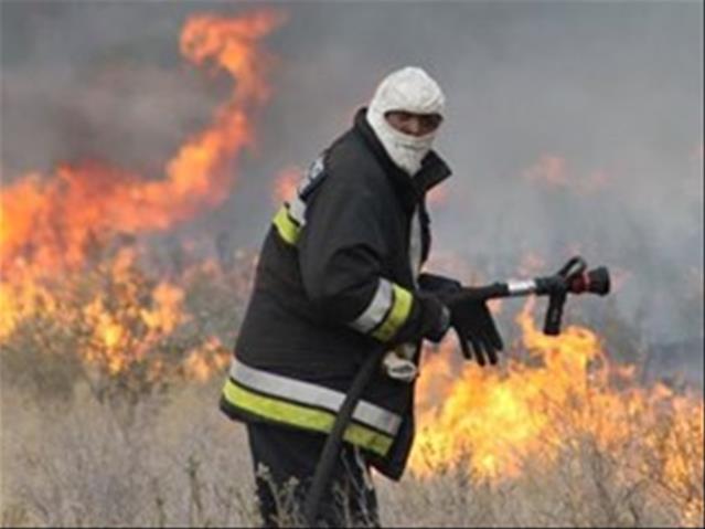  FS veld fires finally contained | News Article