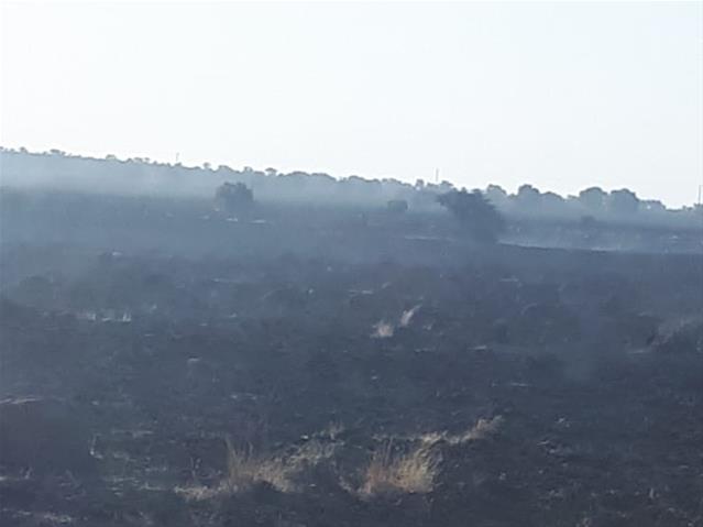 Vrystaatse boere steun op veevoerskenkings ná wegholbrande | News Article