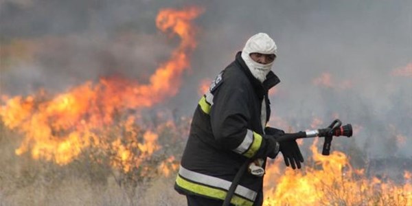 Firefighters battle veld fires in FS | News Article