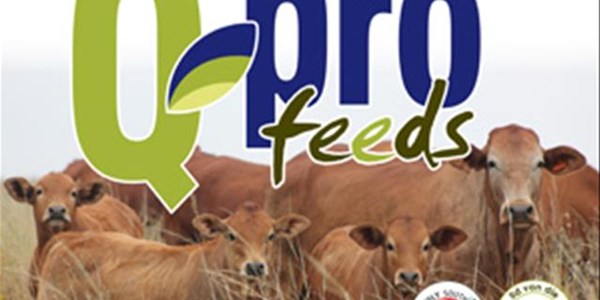 QPro Feeds - Uitvoerende Hoof, Jaco Viljoen | News Article