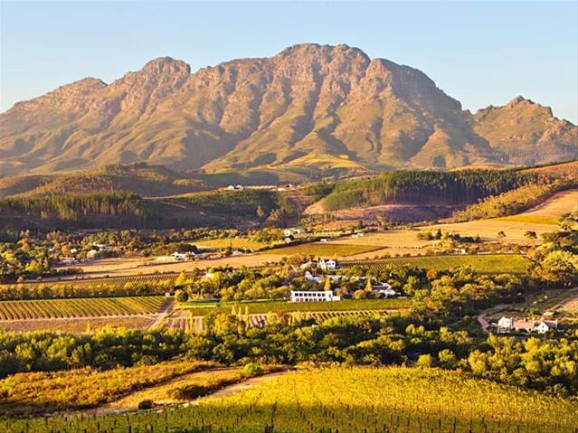 Familiewyne kry nuwe aanlyn-platform | News Article