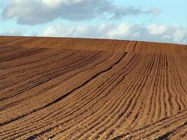 MEC urges NC residents to apply for state land | News Article