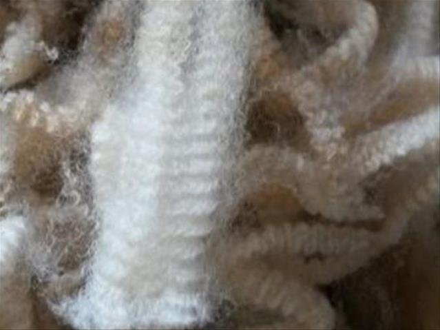 Cape Wools SA: Plaaslike wolmark neig steeds opwaarts | News Article