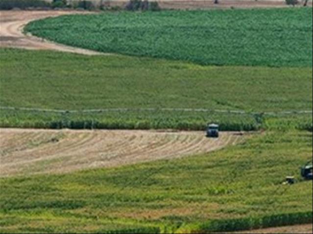 More state land to be released to farmers | News Article