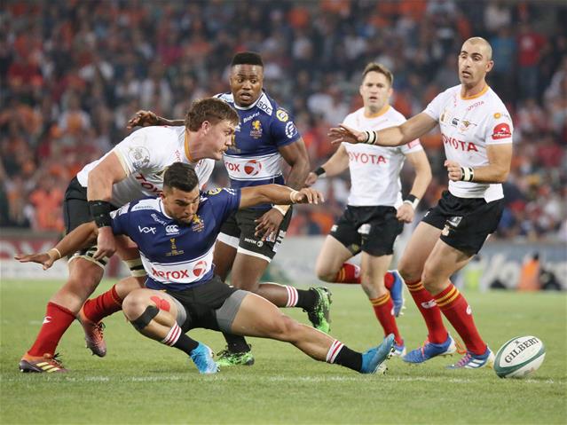 Lions eager to still face the Cheetahs | News Article
