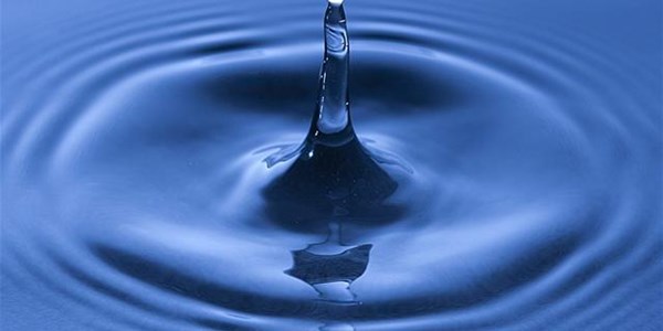 FS municipality to fix water boreholes FS municipality to fix water boreholes | News Article