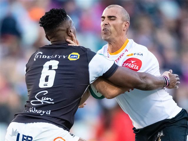 Cheetahs expect physical opener | News Article